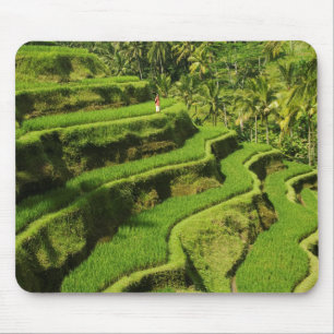 Indonesien, Bali   Reisfelder Mousepad