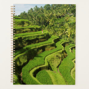 Indonesien, Bali Reisfelder Planer