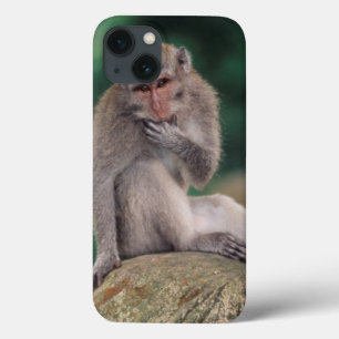 Indonesien, Bali, Ubud, Lang-angebundener Macaque Case-Mate iPhone Hülle