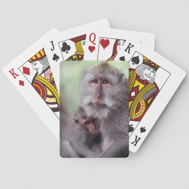 Indonesien, Bali, Ubud, Lang-angebundener Macaque Spielkarten (Rückseite)