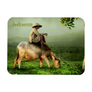 Indonesien Landschaftliche Landschaft mit Buffalo  Magnet