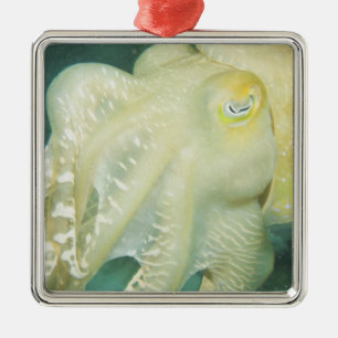 Indonesien, Provinz Süd-Sulawesi, Wakatobi Silbernes Ornament