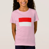 Indonesische Flagge