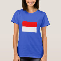 Indonesische Flagge