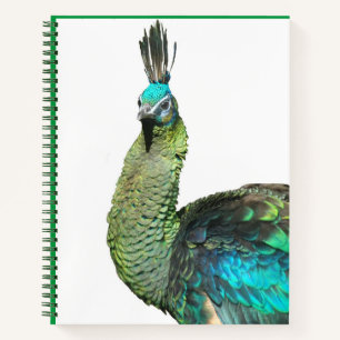 Indonesische Peacock Face-Notebook Notizbuch