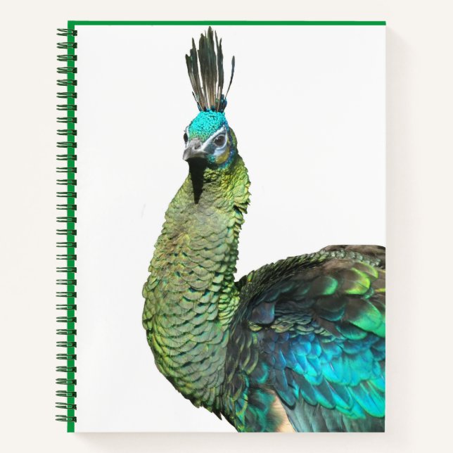 Indonesische Peacock Face-Notebook Notizbuch (Vorderseite)