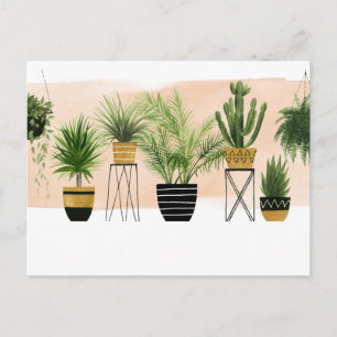 Indoor Oasis Collection Postkarte