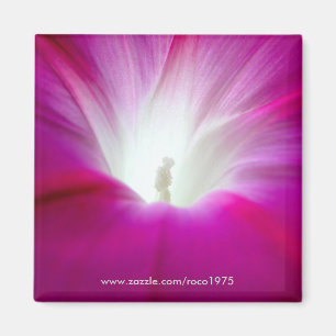 Infini (heller) magnet