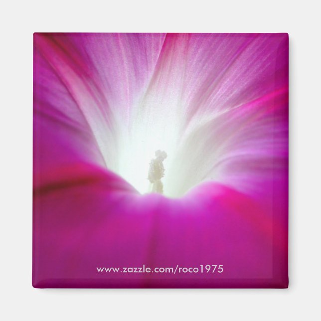 Infini (heller) magnet (Vorne)