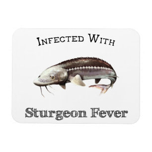 Infiziert mit Sturgeon Fieber Magnet