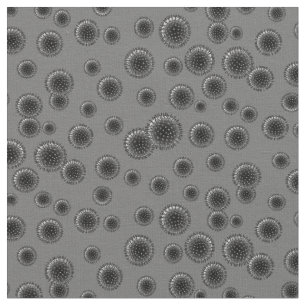 Influenza Gray Stoff