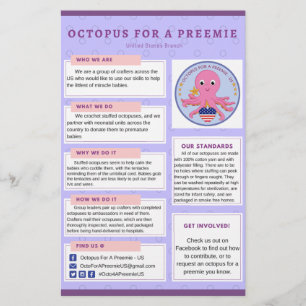 Info-Flyer-Oktopus für eine Prämie in den USA Flyer