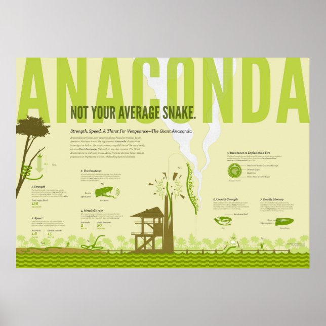 Infografik: Anaconda Poster (Vorne)