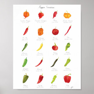 Infografik von Wasserfarbenpepper Poster