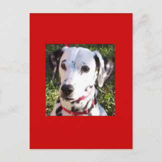 Information Postkarte