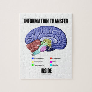 Informations-Übergangsinnere (Gehirn-Anatomie) Puzzle