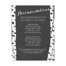 Informationskarte zu den weißen Birkenbaumen