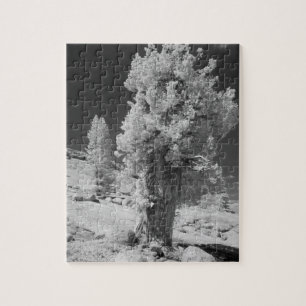 Infrarot-Foto der Ostseite des Yosemite National Puzzle