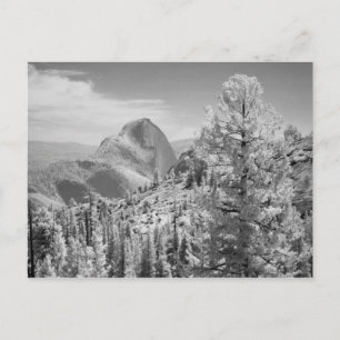 Infrarot-Foto im Osten des Yosemite National 2 Postkarte