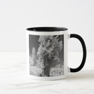 Infrarot-Foto im Osten des Yosemite National Tasse