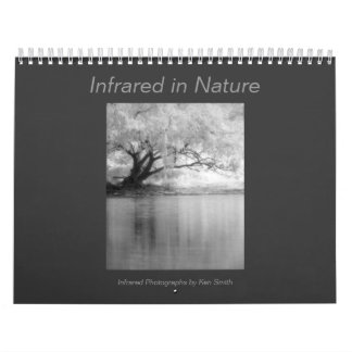 Infrarot in Natur-Kalender 2010 Kalender