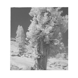 Infrarotfoto der Ostseite des Yosemite National Notizblock
