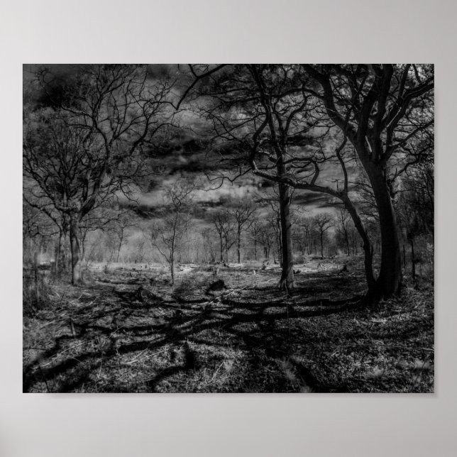 Infrarotlandschaft Schatten im Wald Poster (Vorne)