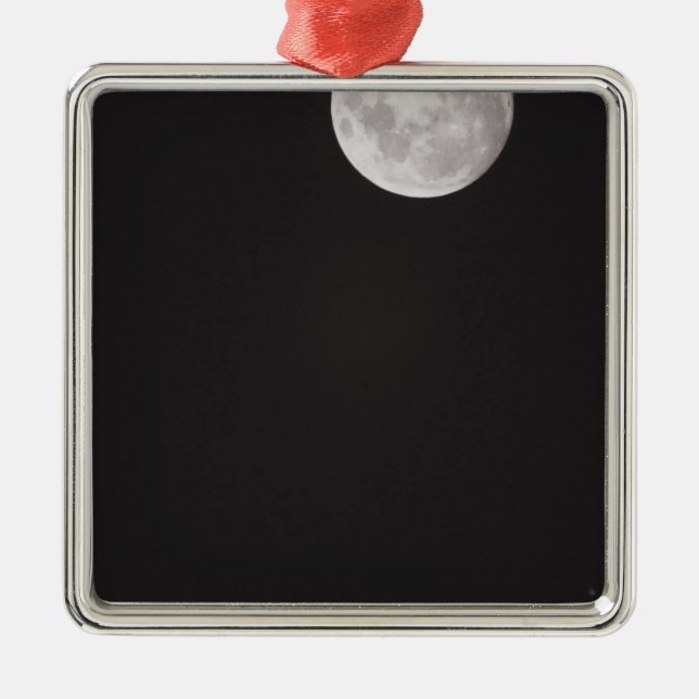 Infrarotmond Silbernes Ornament (Vorne)