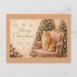 Ingerkatze auf rosa Stuhl Postkarte
