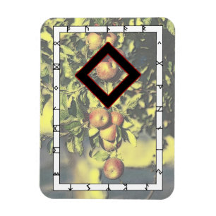 Ingwaz Rune Magnet - Held!