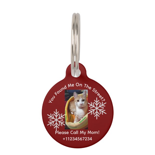 Ingwer Cat Foto und Text, benutzerdefinierbar, Wei Haustiermarke (Rückseite)