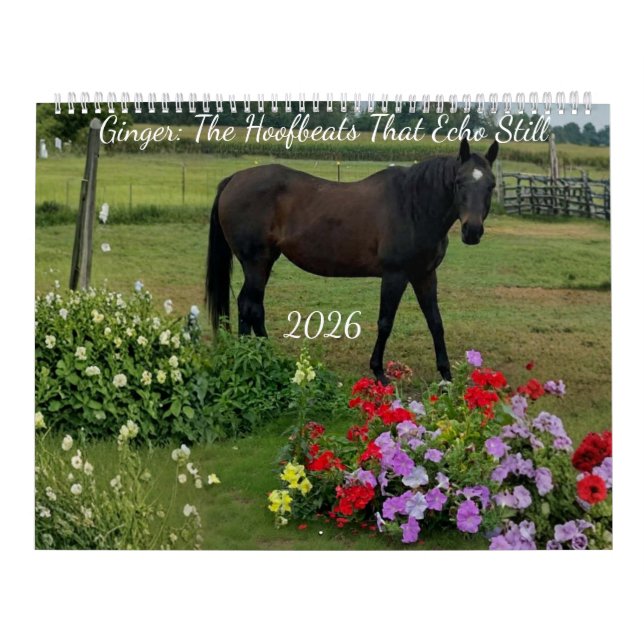 Ingwer Kalender (Titelbild)