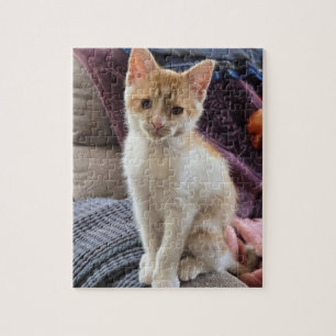 Ingwer Kätzchen Puzzle