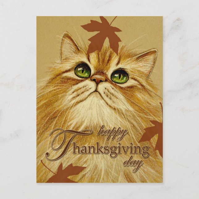 Ingwer-Katze u. Blätter - Postkarte (Vorderseite)