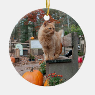 Ingwer-Katze und Kürbis-Verzierung Keramik Ornament