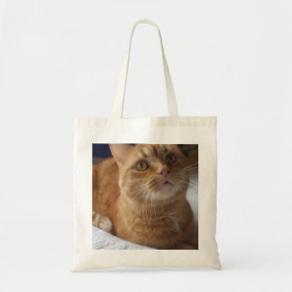 Ingwer-Katzen-Taschen-Tasche Tragetasche