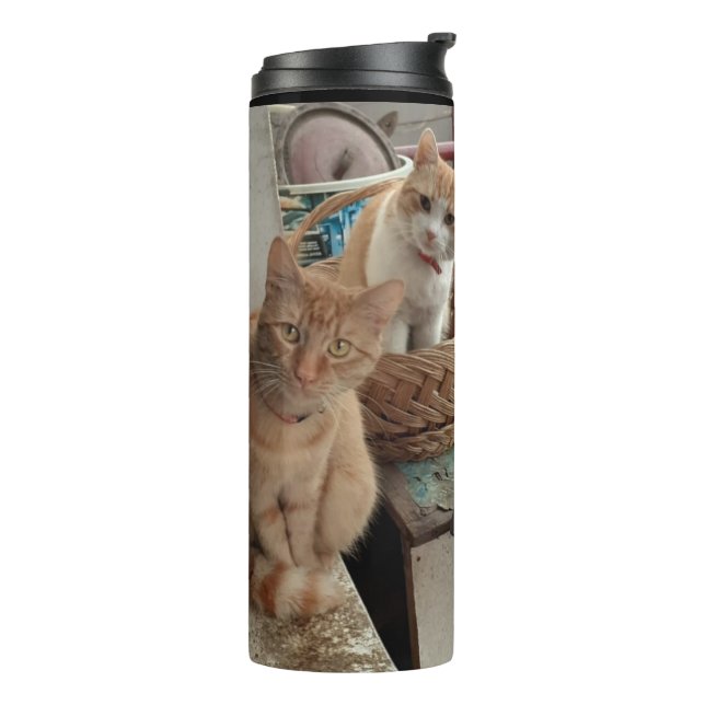 Ingwer Katzenwärmer Thermosbecher (Nach links gedreht)