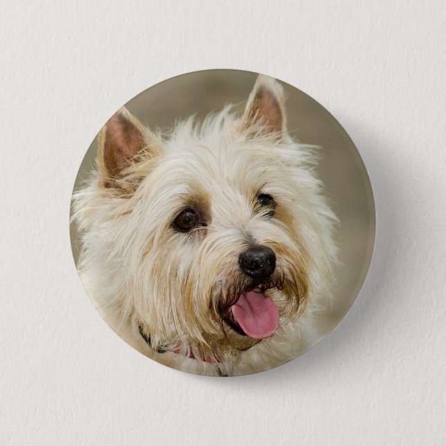 Ingwer lächelt Button (Vorderseite)