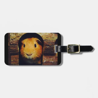 Ingwer-Meerschweinchen-Geschenke Gepäckanhänger