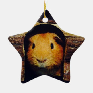 Ingwer-Meerschweinchen-Geschenke Keramik Ornament