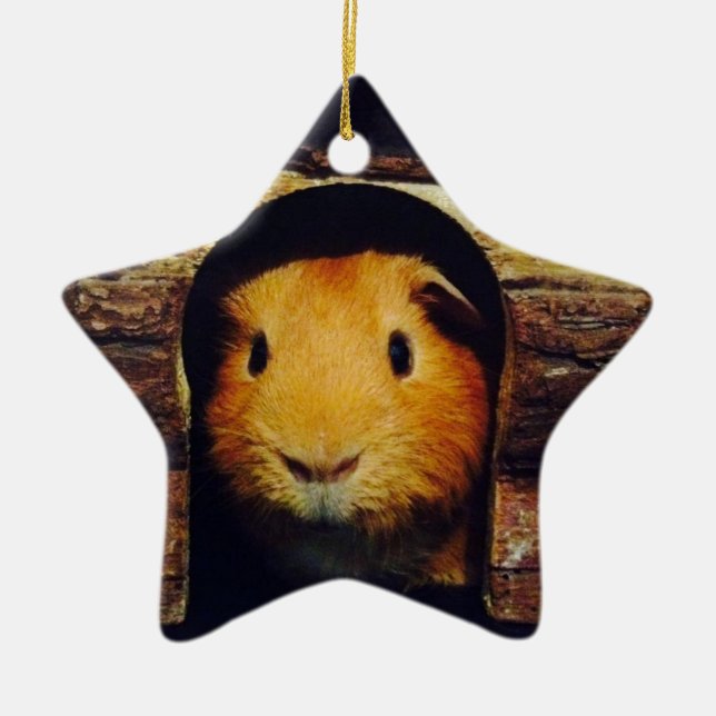 Ingwer-Meerschweinchen-Geschenke Keramik Ornament (Vorne)