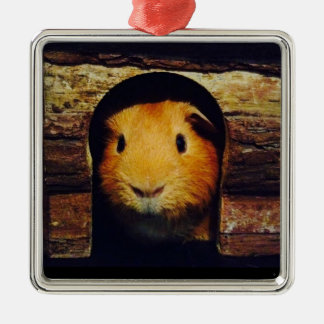 Ingwer-Meerschweinchen-Geschenke Ornament Aus Metall