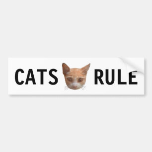 Ingwer Tabby Kitty Katze Autoaufkleber