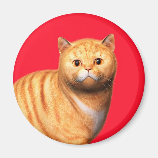 Ingwerkatze 3 Magnet (Vorne)