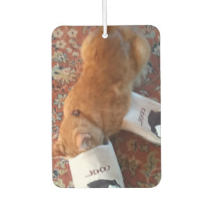 Ingwerkatze Autolufterfrischer