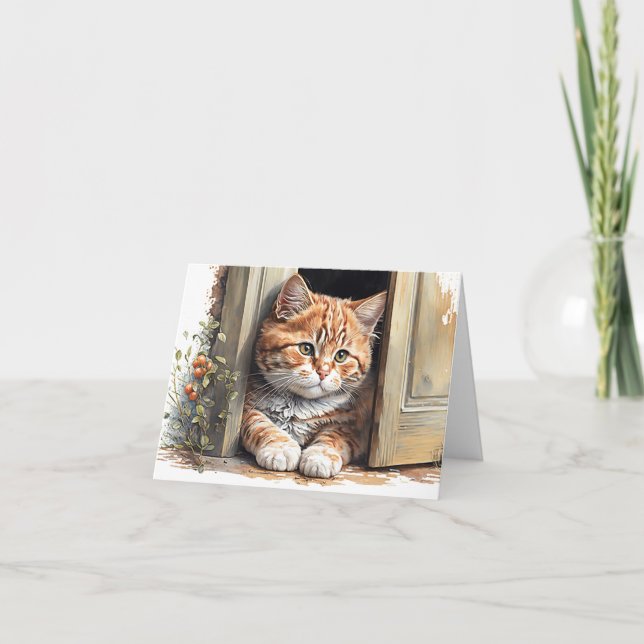 Ingwerkatze in Türleere (Vorderseite)