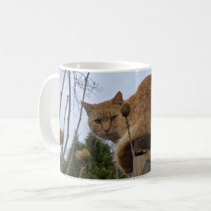 Ingwerkatze Kaffeetasse