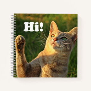 Ingwerkatze sagt Hallo! Notizbuch