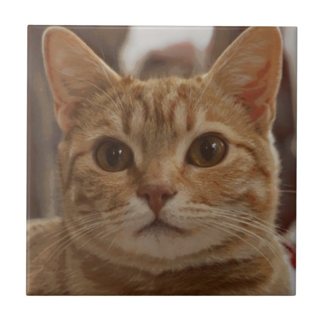 Ingwerkatzenaugen  fliese (Vorderseite)