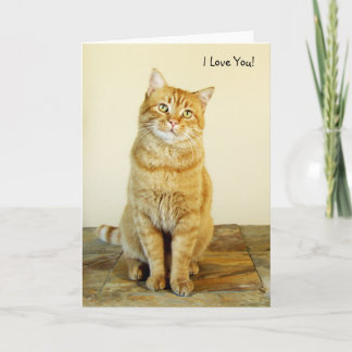 Ingwertabby-Katzen-Liebe-Karte Karte